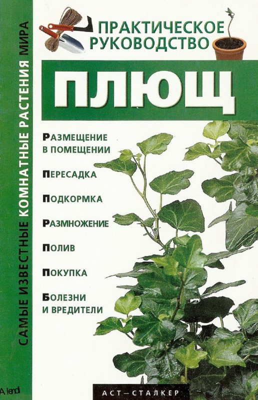 кинг плющ. дикий плющ книга. дикий плющ книга. сборник ступени. ядовитая книга.