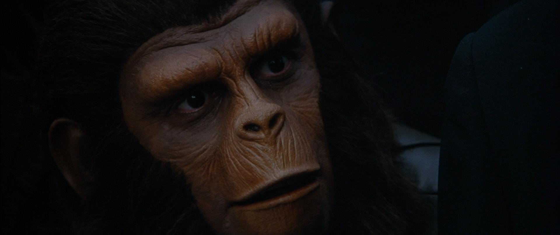 Завоевание планеты обезьян 1972. Планета обезьян 4. Conquest of the Planet of the Apes, 1972. Планета обезьян 4 завоевание планеты обезьян. Завоевание планеты обезьян Лиза.