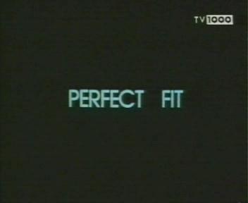 Perfect Fit / Идеальная совместимость